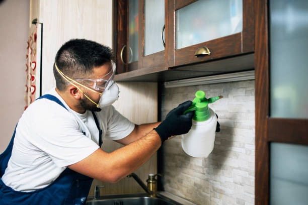 Best Pest Removal Services  in Woodbury, NJ