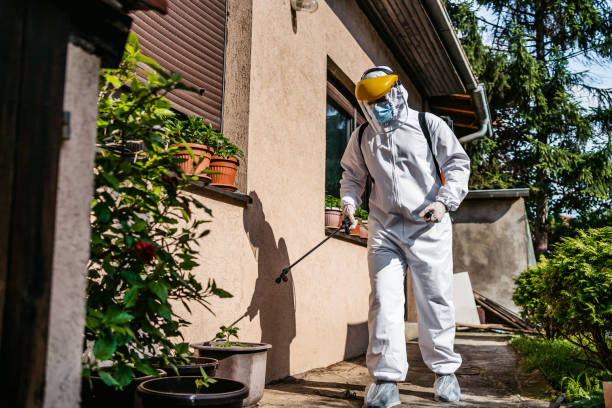 Best Affordable Pest Control Services  in Woodbury, NJ